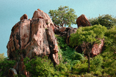 Picfare Exercise Book